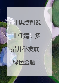 焦点智说丨任婧：多措并举发展绿色金融