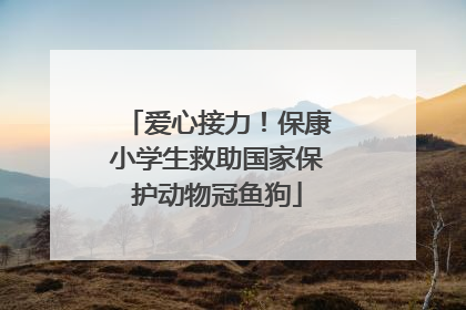 爱心接力！保康小学生救助国家保护动物冠鱼狗