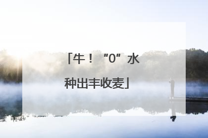 牛！“0”水种出丰收麦