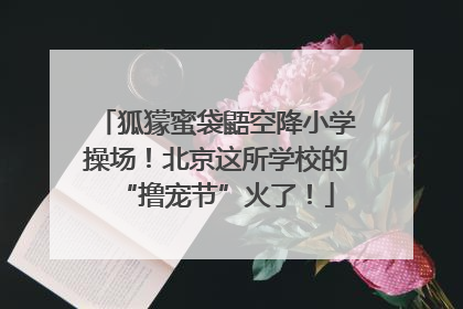 狐獴蜜袋鼯空降小学操场！北京这所学校的“撸宠节”火了！
