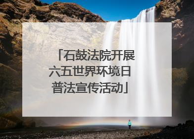 石鼓法院开展六五世界环境日普法宣传活动