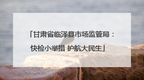 甘肃省临泽县市场监管局：快检小举措 护航大民生