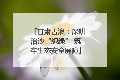 甘肃古浪：深耕治沙“织绿” 筑牢生态安全屏障