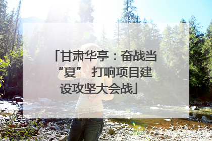 甘肃华亭：奋战当“夏” 打响项目建设攻坚大会战