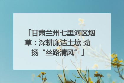 甘肃兰州七里河区烟草：深耕廉洁土壤 劲扬“丝路清风”