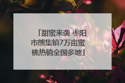 甜蜜来袭 枣阳市熊集镇7万亩蜜桃热销全国多地