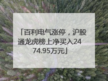 百利电气涨停，沪股通龙虎榜上净买入2474.95万元