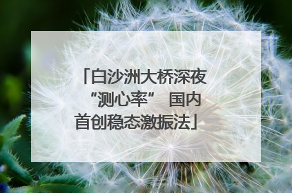 白沙洲大桥深夜“测心率” 国内首创稳态激振法