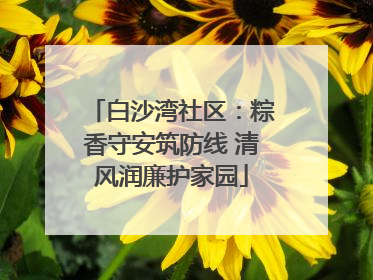 白沙湾社区：粽香守安筑防线 清风润廉护家园