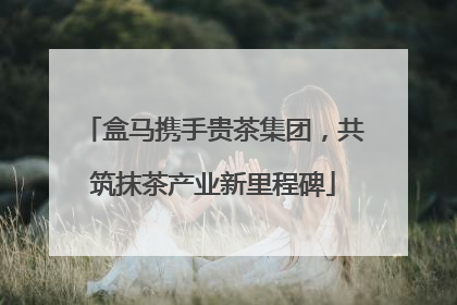 盒马携手贵茶集团，共筑抹茶产业新里程碑