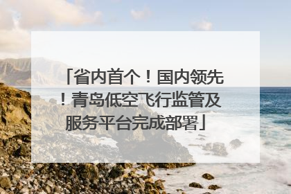 省内首个！国内领先！青岛低空飞行监管及服务平台完成部署