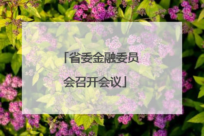 省委金融委员会召开会议