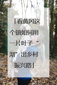 看黄冈这个镇如何用一片叶子“沏”出乡村振兴路