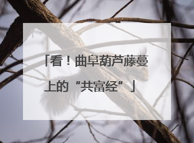 看！曲阜葫芦藤蔓上的“共富经”