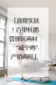 真帮实扶！百里杜鹃管理区两村“威宁鸡”产销两旺