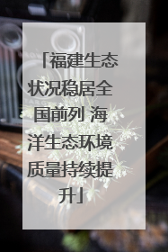 福建生态状况稳居全国前列 海洋生态环境质量持续提升