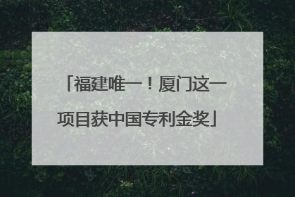 福建唯一！厦门这一项目获中国专利金奖