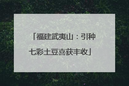 福建武夷山：引种七彩土豆喜获丰收