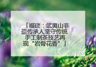 福建：武夷山非遗传承人坚守传统 手工制茶技艺再现“岩骨花香”