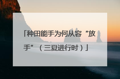 种田能手为何从容“放手”（三夏进行时）