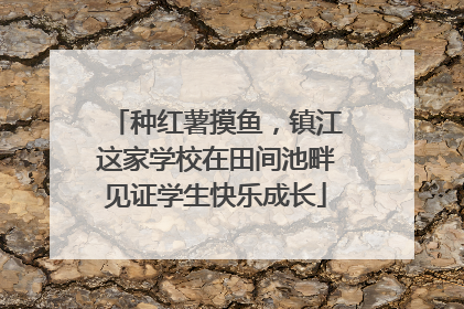 种红薯摸鱼，镇江这家学校在田间池畔见证学生快乐成长