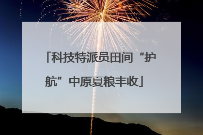 科技特派员田间“护航”中原夏粮丰收