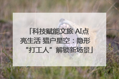 科技赋能文旅 AI点亮生活 猎户星空：隐形“打工人”解锁新场景