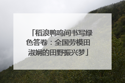 稻浪鸭鸣间书写绿色答卷：全国劳模田淑娴的田野振兴梦