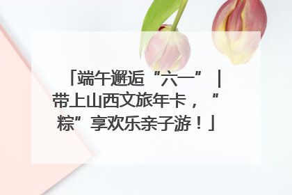端午邂逅“六一”｜带上山西文旅年卡，“粽”享欢乐亲子游！