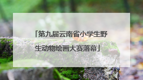 第九届云南省小学生野生动物绘画大赛落幕