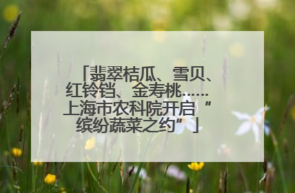翡翠桔瓜、雪贝、红铃铛、金寿桃……上海市农科院开启“缤纷蔬菜之约”