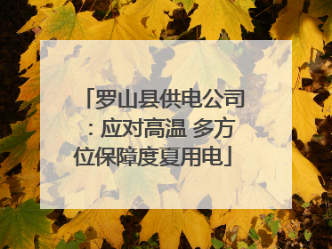 罗山县供电公司：应对高温 多方位保障度夏用电