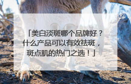 美白淡斑哪个品牌好？什么产品可以有效祛斑，斑点肌的热门之选！