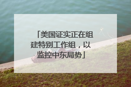 美国证实正在组建特别工作组，以监控中东局势