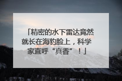精密的水下雷达竟然就长在海豹脸上，科学家直呼“真香”！