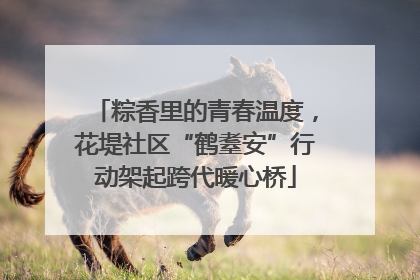 粽香里的青春温度，花堤社区“鹤耋安”行动架起跨代暖心桥