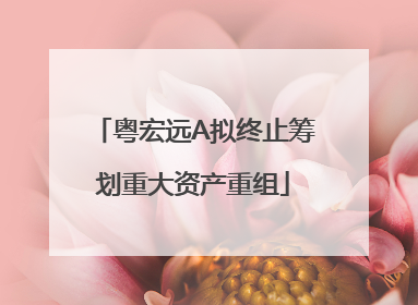粤宏远A拟终止筹划重大资产重组