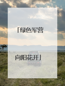绿色军营 向阳花开