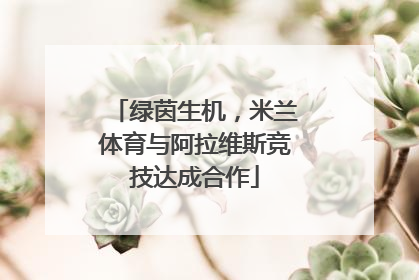 绿茵生机，米兰体育与阿拉维斯竞技达成合作