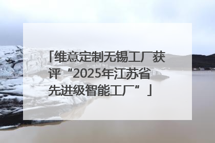 维意定制无锡工厂获评“2025年江苏省先进级智能工厂”