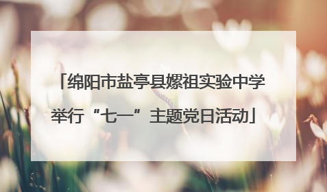 绵阳市盐亭县嫘祖实验中学举行“七一”主题党日活动
