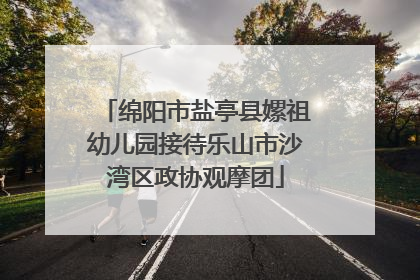 绵阳市盐亭县嫘祖幼儿园接待乐山市沙湾区政协观摩团