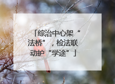综治中心架“法桥”，检法联动护“学途”