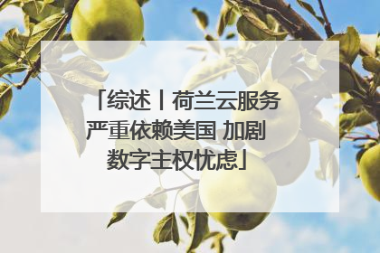 综述丨荷兰云服务严重依赖美国 加剧数字主权忧虑