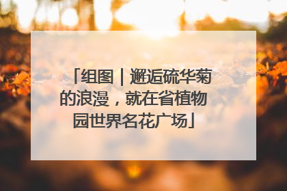 组图｜邂逅硫华菊的浪漫，就在省植物园世界名花广场