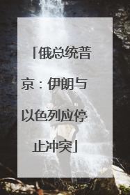 俄总统普京：伊朗与以色列应停止冲突
