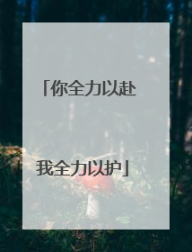 你全力以赴 我全力以护