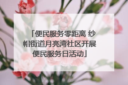 便民服务零距离 纱帽街道月亮湾社区开展便民服务日活动