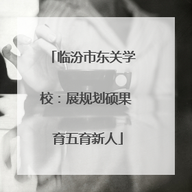 临汾市东关学校：展规划硕果 育五育新人