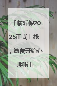 临沂保2025正式上线，缴费开始办理啦
